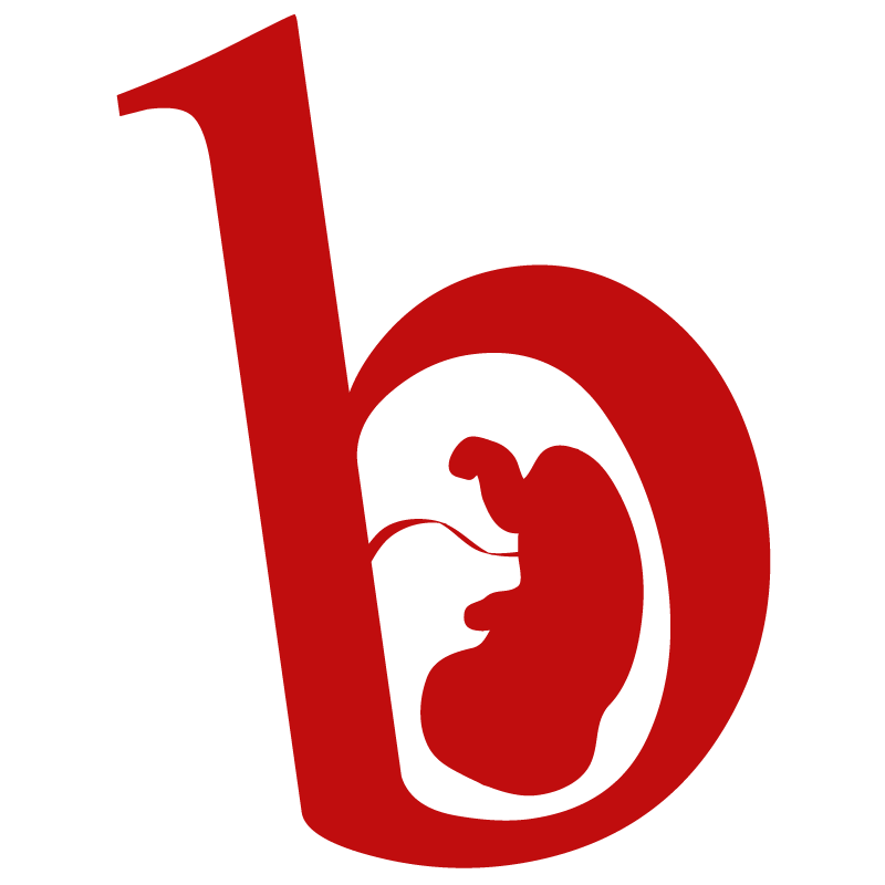 @Informaborto quiere mostrar públicamente, en forma gráfica, visual y explícita, la realidad del aborto #ChileAbreLosOjos