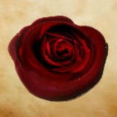 krosewriting's profile picture. 