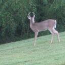 Kenneth Mohler - @kenwen02 - Twitter