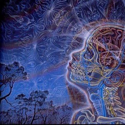 Take a trip into my mind. i tweet about random stuff that im intrested in. #nochill #trippy #followme #10kgoal