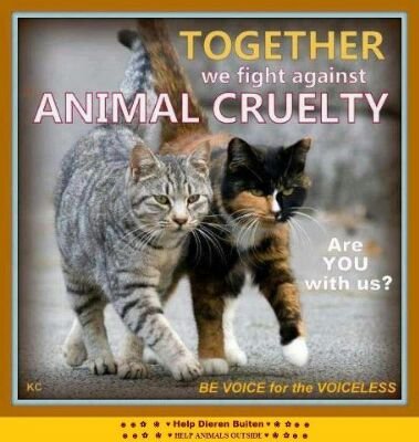 I LOVE ANIMALS END I WILL FIGHT FOR THEM AS MUCH AS I CAN.
