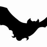 vleddermaus