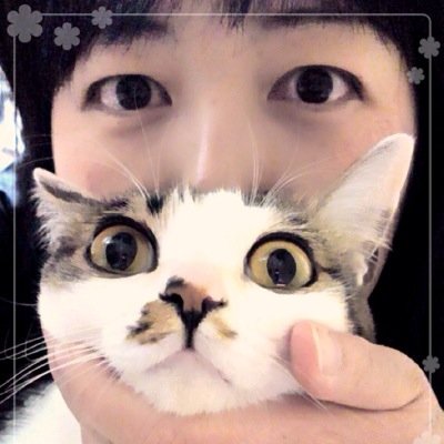 世界のかさこさんのプロフィール画像