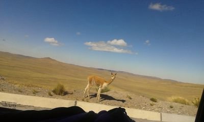 micaelaneyram's profile picture. Dios premia a quien madruga