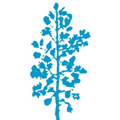 emanuelcolive's profile picture. 