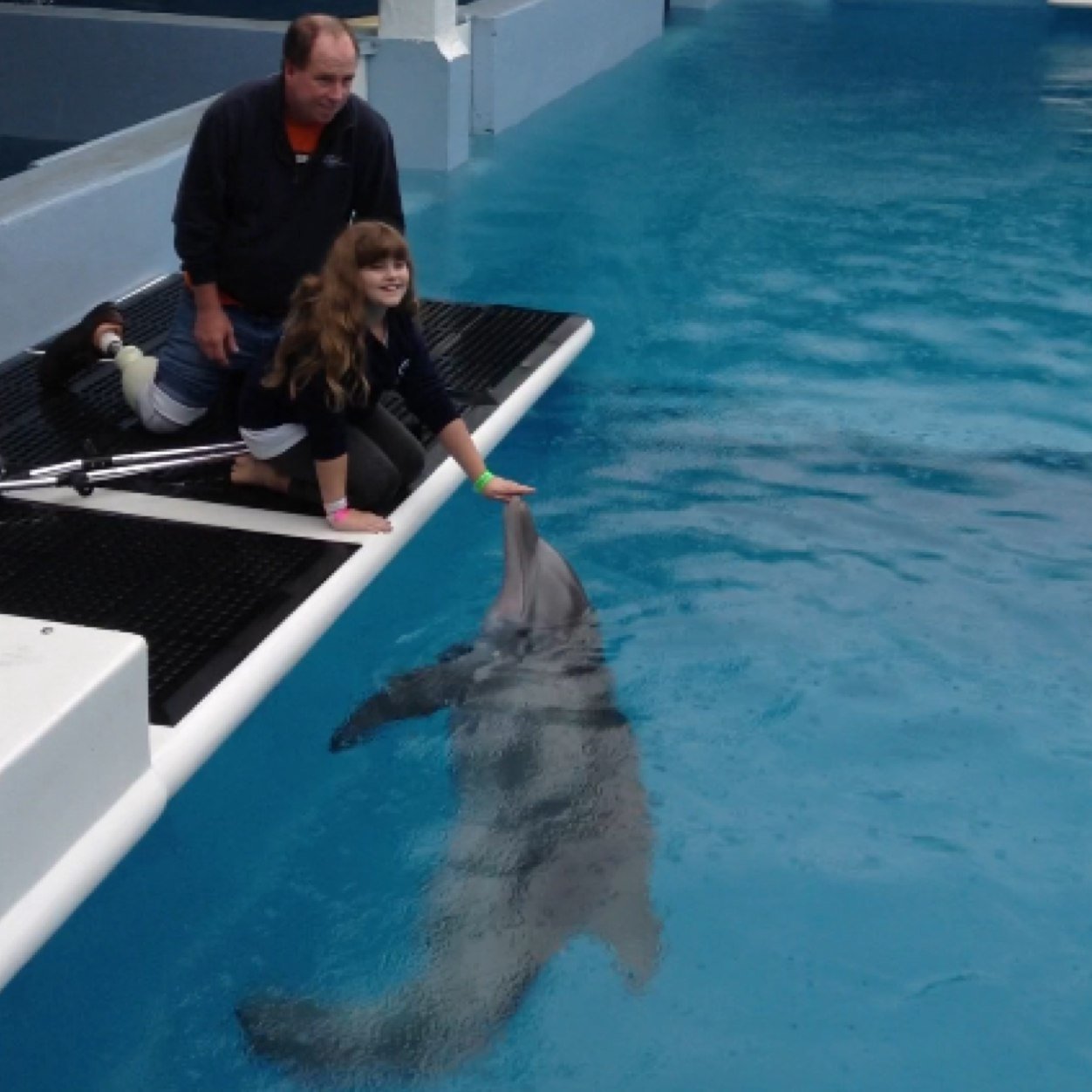 Chloeluvdolphin's profile picture. i love dolphins and marine animals my favorite dolphin is Winter she is at the Clearwater Marine Aquarium in Clearwater, FL.