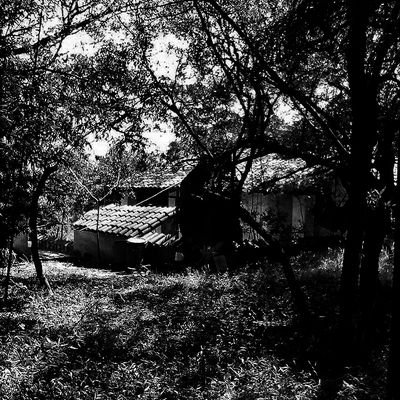 Proyecto cinematografico Paraguay Terror.
2014