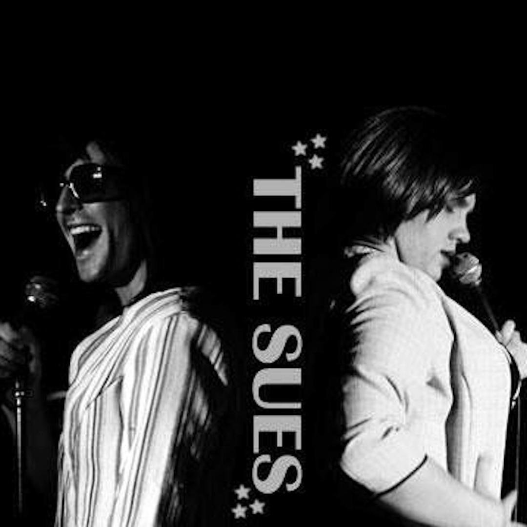 TheTwoSues's profile picture. Sue Campbell and Sue McCallister quit their jobs and hit the road with their unique brand of motivational entertainment.