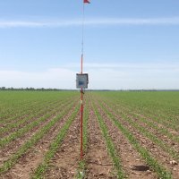 Evan Lipcaman (@evanlipcaman) 's Twitter Profile