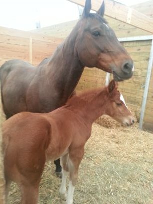 slagolia's profile picture. wishing i could work - but that won't happen