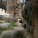 Jesse Ball - @JessesBalls78 - Twitter