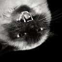 Daniel Quinlivan - @darknrgy - Twitter