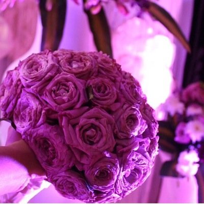 ‏‏‏‏‏‏‏.. في الجنه و نعيمها ياأبي ..

(وَاتّقُواْ يَوْماً تُرْجَعُونَ فِيهِ إِلَى اللّهِ ثُمّ تُوَفّىَ كُلّ نَفْسٍ مّا كَسَبَتْ وَهُمْ لاَ يُظْلَمُون)