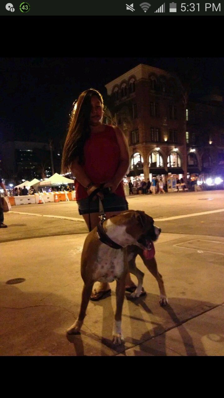 LocaGamer's profile picture. Gamer,Dallas Cowboys ,Fan,Artist,Crafter, Directioner. Long Beach, CA