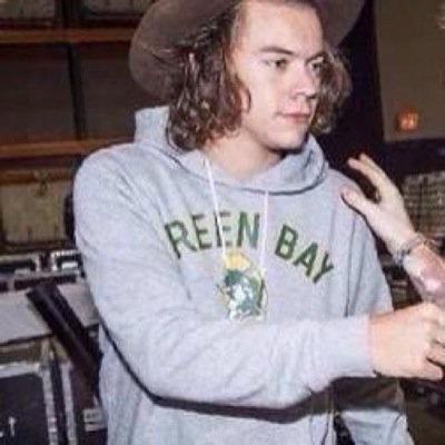 harry is mine dont even try to say you deserve to meet him