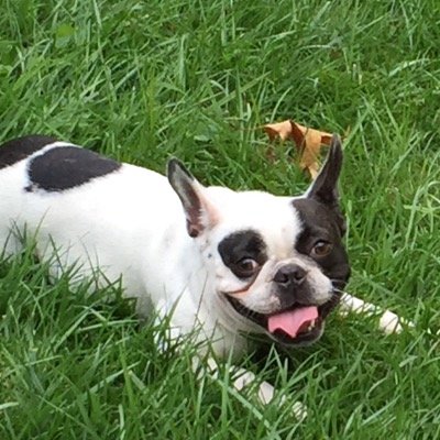 CMoopig's profile picture. 