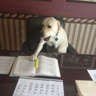 juken_gokaku7's profile picture. 