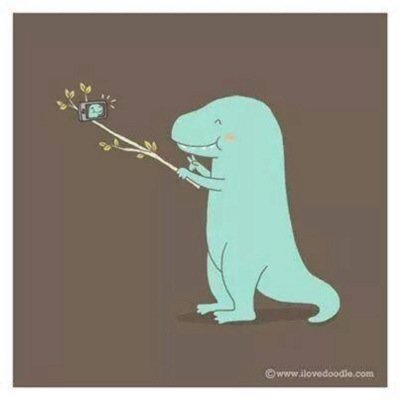 chelseattaylor's profile picture. 素敵な場所で静かに住みたいなぁ〜