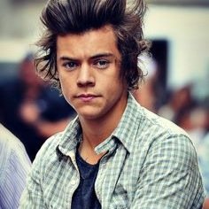 Harry Styles. (no need to explain why thats my bio)