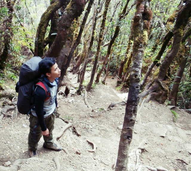 Ari_53's profile picture. Summit is only bonus ..!!