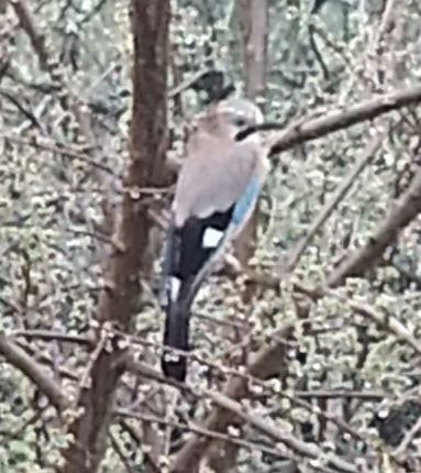manueldocoxo's profile picture. Se buscas a Galicia en TI tes que atopala. Manuel María.
