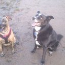 Amy Askew - @AmyAmyaskew2 - Twitter