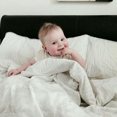 steve4kat's profile picture. 