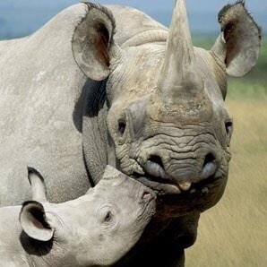 stigxGP's profile picture. 