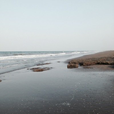 almazioon111's profile picture. الله ثم الوطن ثم ريس الدوله