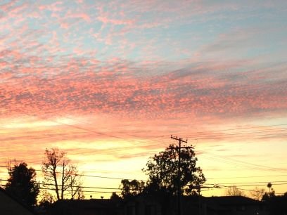 cgarrett83's profile picture. 