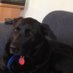 Karen Robertson (@karenr20031955) Twitter profile photo