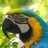 joleloro's profile image