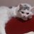 Vivas_World's profile image