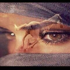 ( اعتذر عن الخاص)
