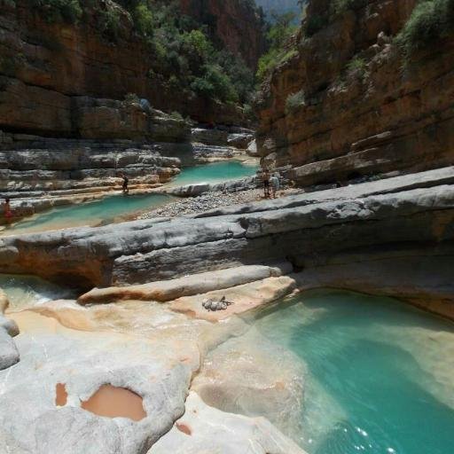 _paradisevalley's profile picture. 