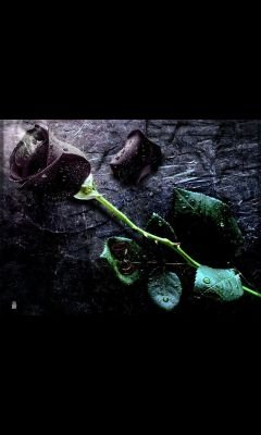 gfdghbcom4's profile picture. Hi