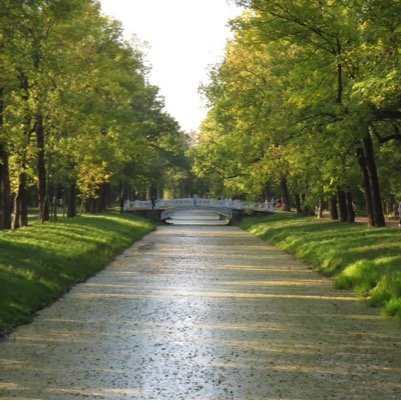 Laschok1973's profile picture. 