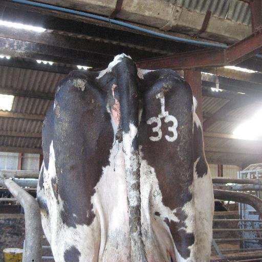 AndrewEvans133's profile picture. 