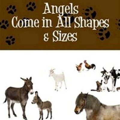 Amazing! Our dog sees an Angel Dog! Do you see an Animal Spirit? A short, true rescue story with rare photos in, Angels Come in All Shapes & Sizes.