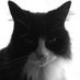 Profile Picture of Helen Mitchell (@Helenmuk) on Twitter