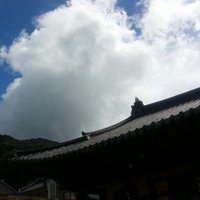 구름에 달 가듯이 가는 나그네 (@realsinglegolf) 's Twitter Profile Photo 구름에 달 가듯이 가는 나그네 (@realsinglegolf) 's Twitter Profile Photo