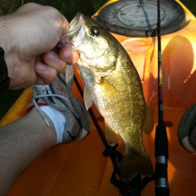 Husband, Father, coach, outdoorsman.