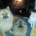 Conor Forde - @conor_forde - Twitter