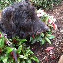 Steve Arthur - @PN_Steve - Twitter