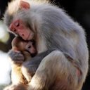 nikki dean - @nikki1takethat - Twitter