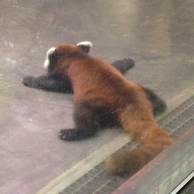 のぶみつののぶはスノッブのノブ。短気で傲慢で怠惰です。これからものびのびと生きます。