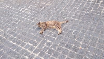 使ってません☆