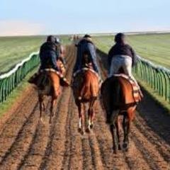 Emerald Bloodstock Insurance