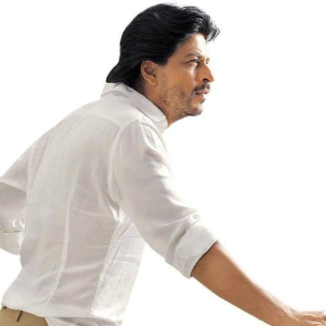 lazonamo1's profile picture. 