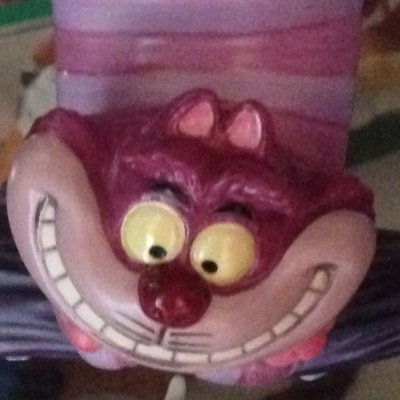 パークでなんとなく撮った写真をなんとなくあげてます。子供の頃から筋金入りのヴィランズ好き。各シーズン満喫しつつ春と秋に心奪われがち。髙橋洋さん、劇団☆新感線など舞台系も好き。
